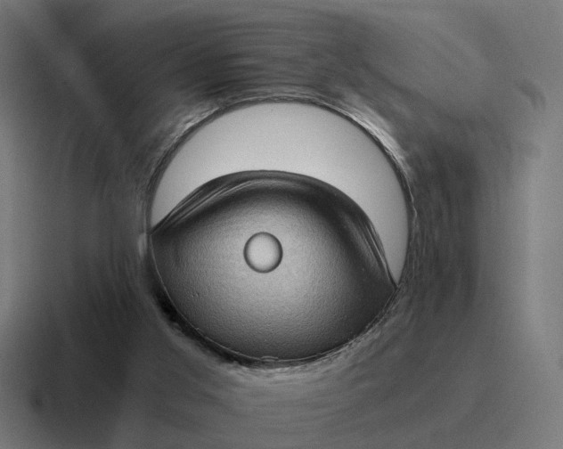 X0000116760013200912311827