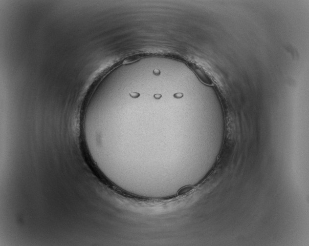 X0000116760015200912311827