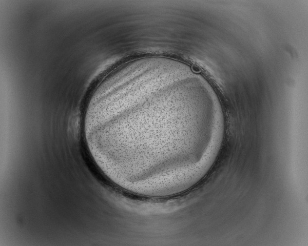 X0000116760016200912311827