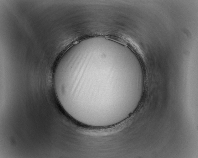 X0000116760017200912311827