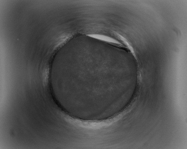 X0000116760018200912311827