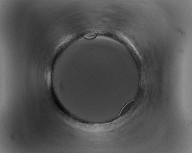 X0000116760019200912311827