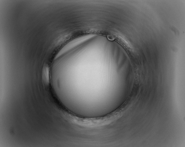 X0000116760022200912311827