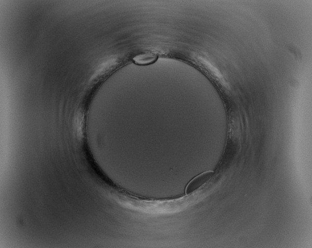 X0000116760023200912311827