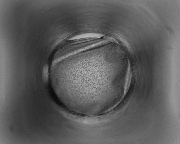 X0000116760024200912311827