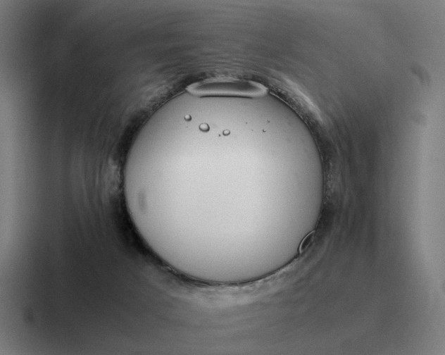 X0000116760025200912311827