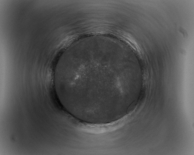 X0000116760029200912311827