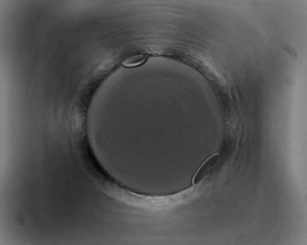 X0000116760031200912311827