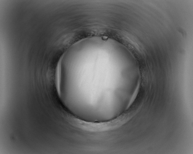 X0000116760034200912311827