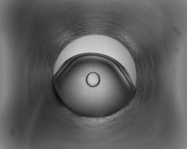 X0000116760037200912311827