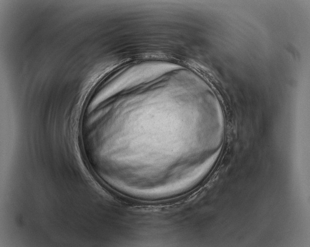 X0000116760049200912311826