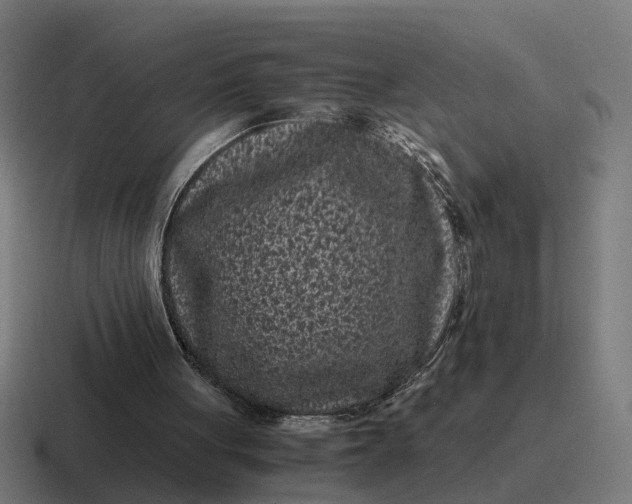 X0000116760051200912311826