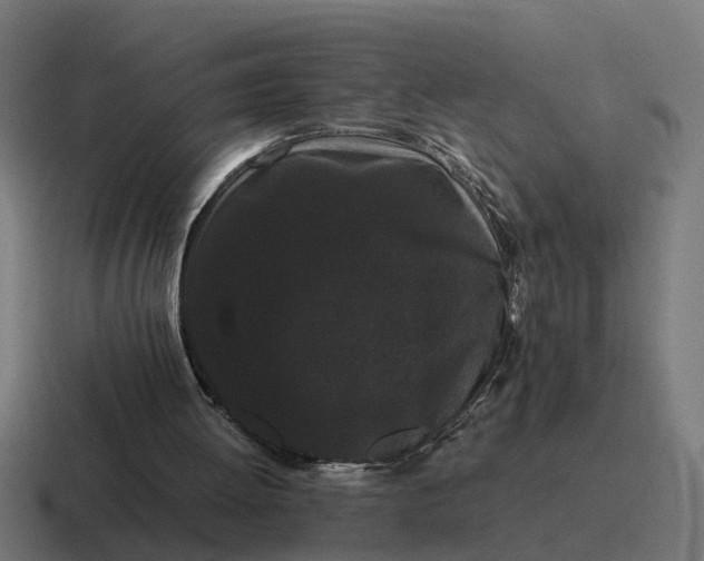 X0000116760052200912311826