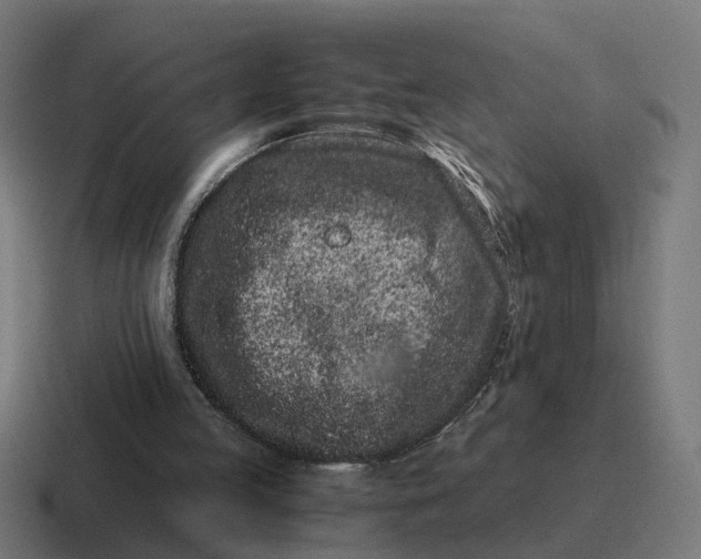 X0000116760053200912311826