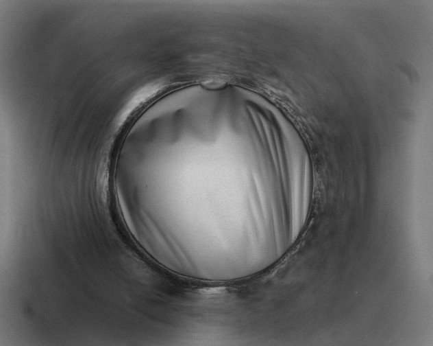 X0000116760054200912311826