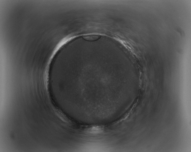 X0000116760056200912311826