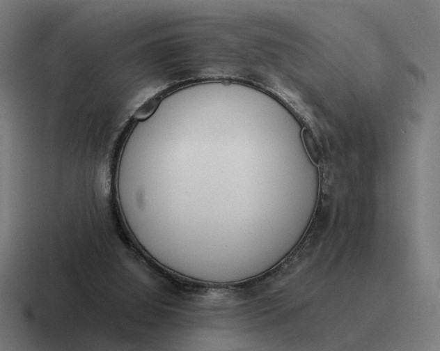 X0000116760060200912311826