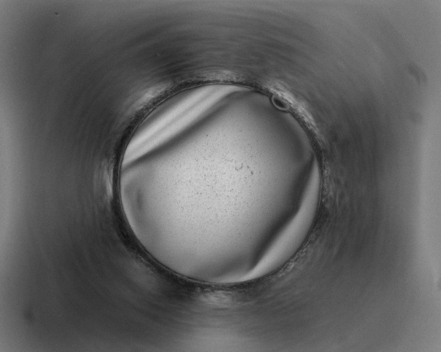 X0000116760062200912311826