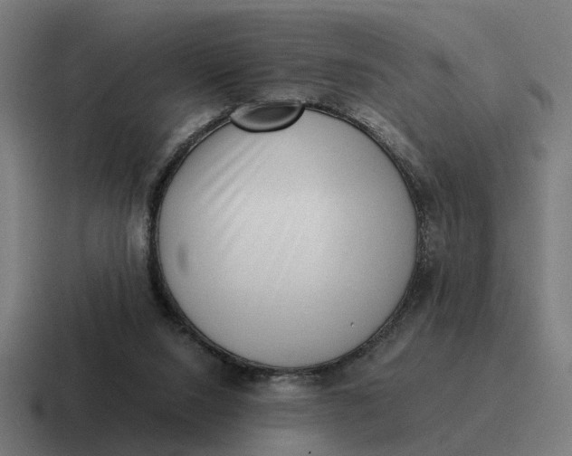 X0000116760064200912311827