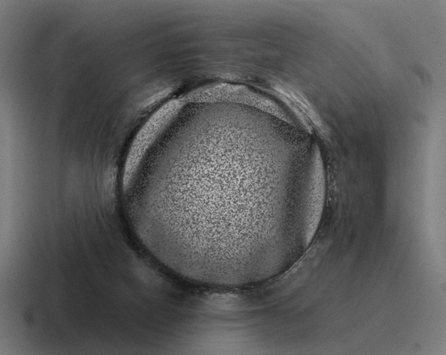 X0000116760066200912311827