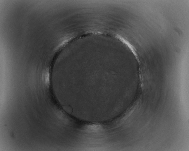 X0000116760067200912311827