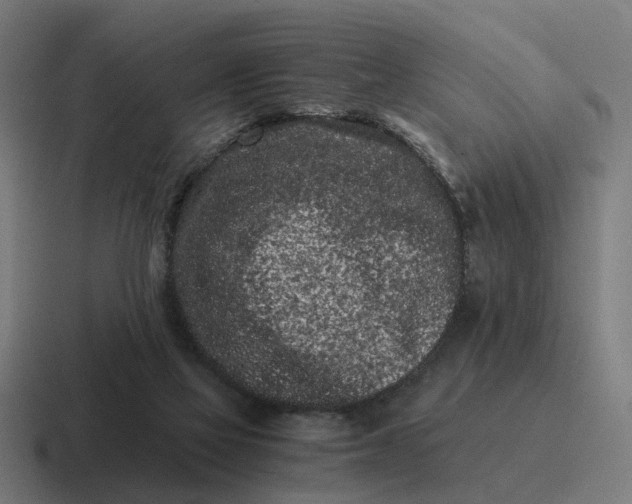 X0000116760069200912311827