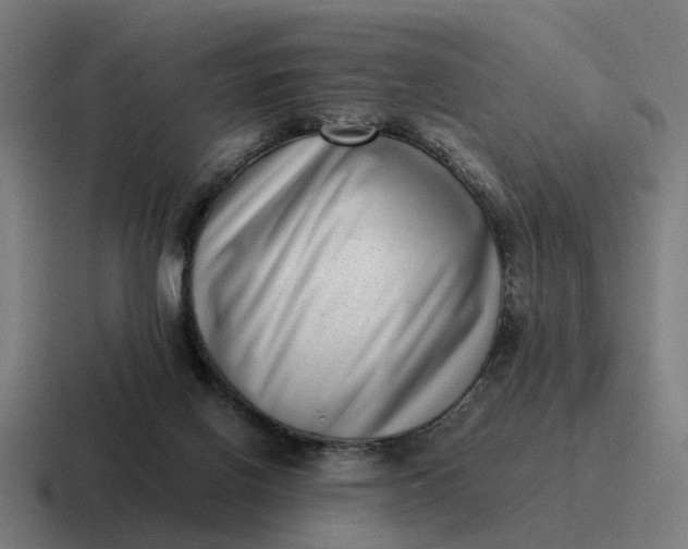 X0000116760070200912311827