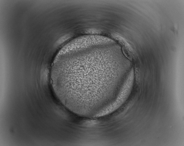 X0000116760071200912311827