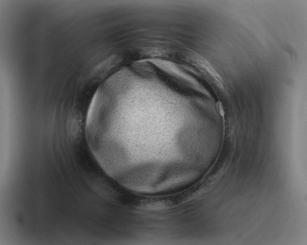 X0000116760073200912311827