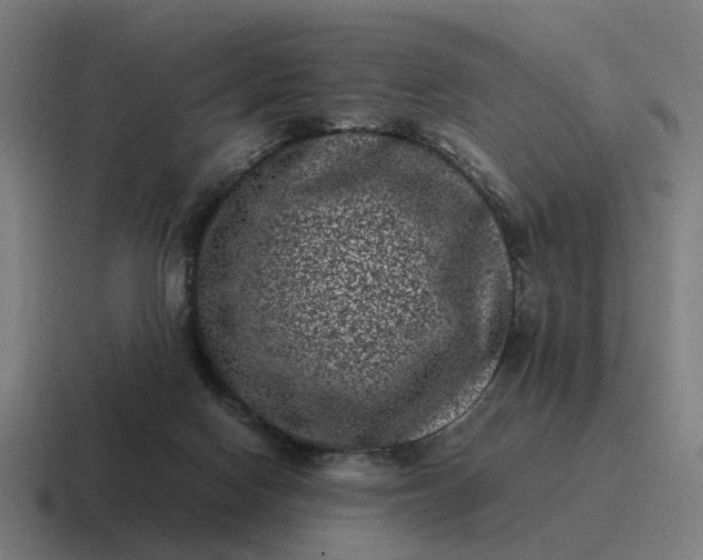 X0000116760074200912311827