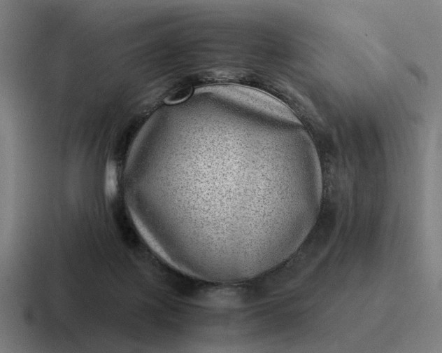 X0000116760075200912311827