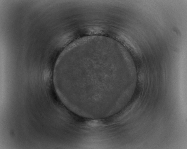 X0000116760079200912311827