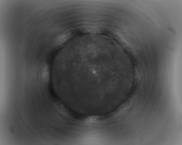 X0000116760080200912311827