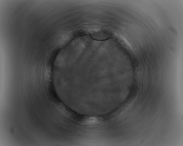 X0000116760083200912311827