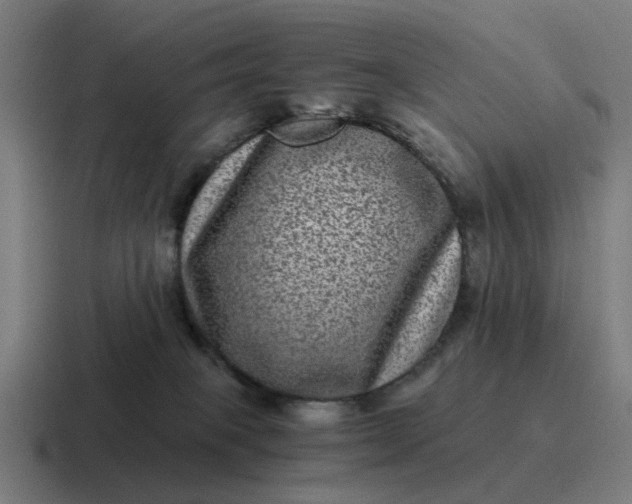 X0000116760085200912311827