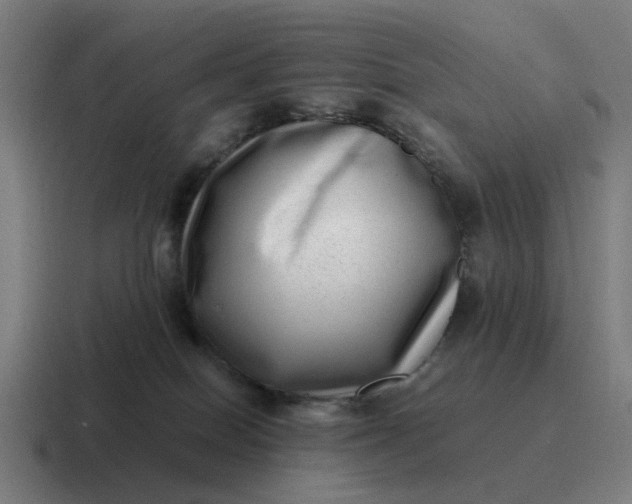 X0000116760086200912311827