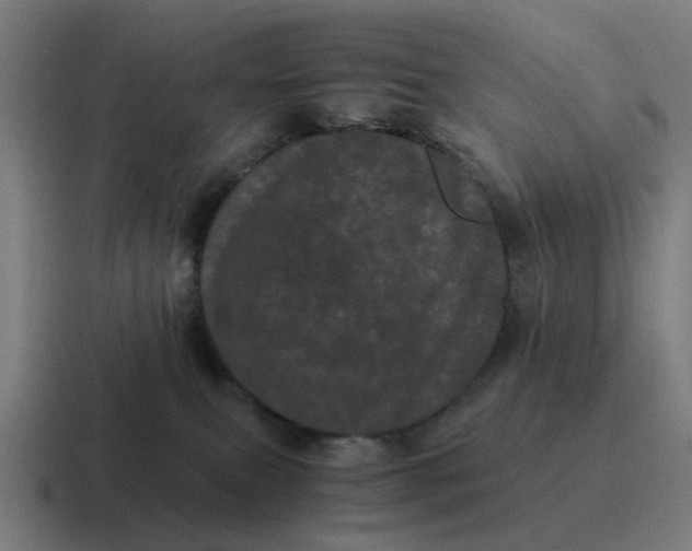 X0000116760087200912311827