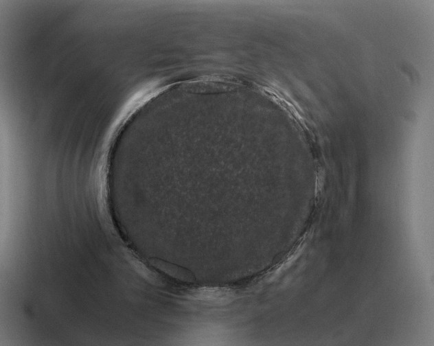 X0000116760101200912311826