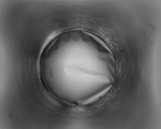 X0000116760102200912311826