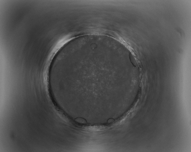 X0000116760103200912311826