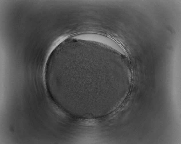 X0000116760104200912311826