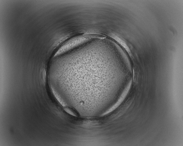 X0000116760109200912311826