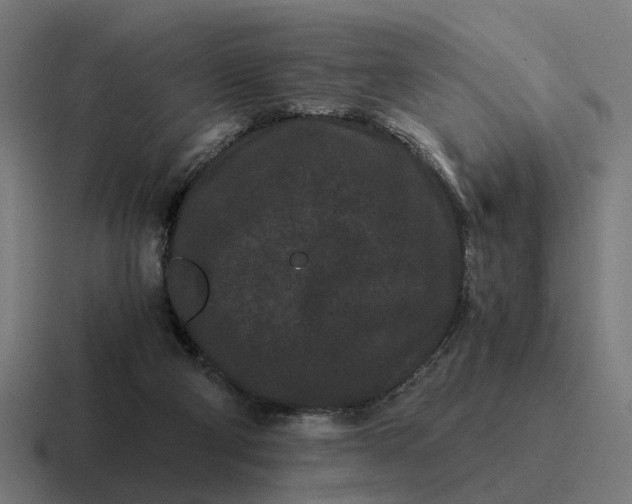 X0000116760114200912311826