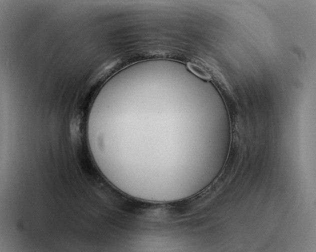 X0000116760116200912311826