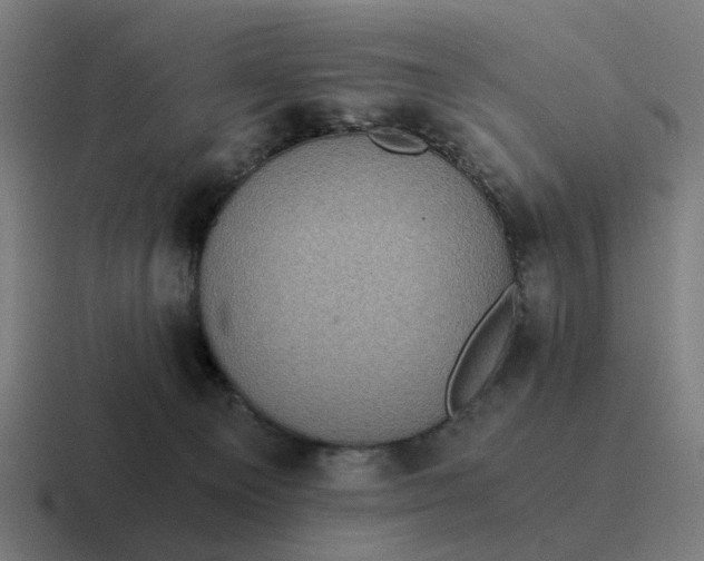 X0000116760129200912311826