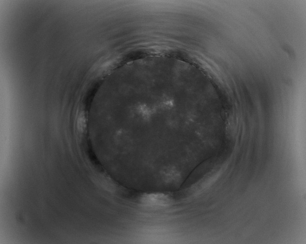 X0000116760137200912311826