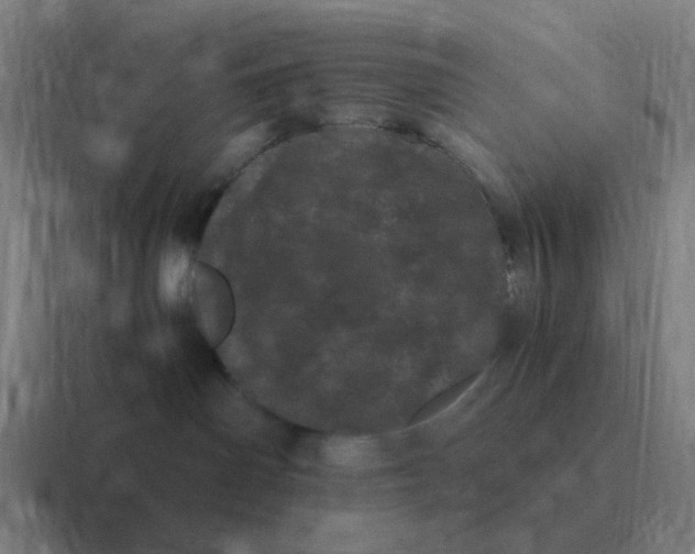 X0000116760142200912311826