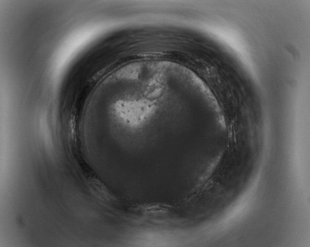 X0000116760146200912311825