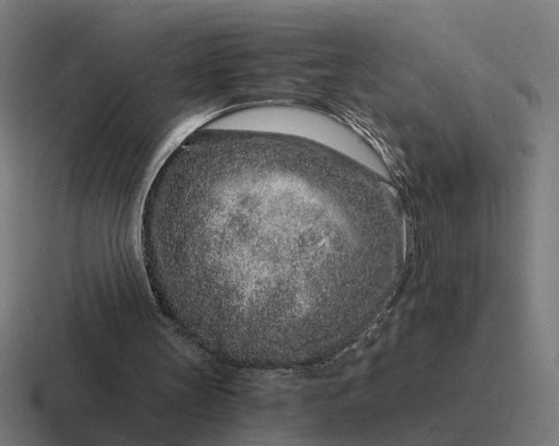 X0000116760147200912311825