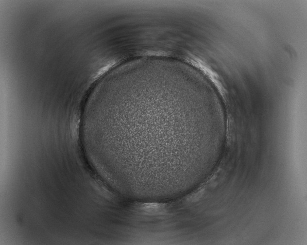 X0000116760153200912311825